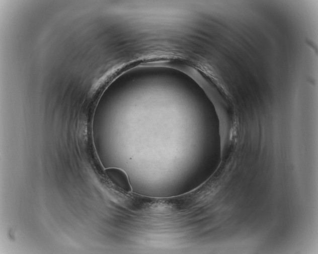 X0000099520348200805151531
