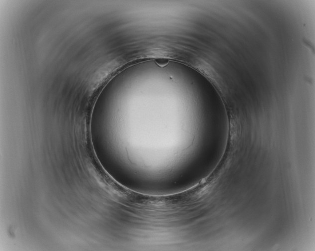 X0000099520349200805151531