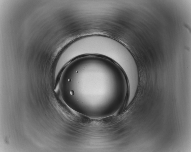 X0000099520350200805151531