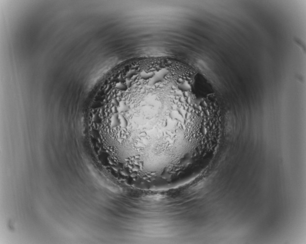 X0000099520351200805151531