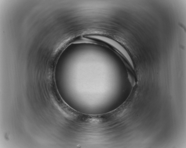 X0000099520352200805151531