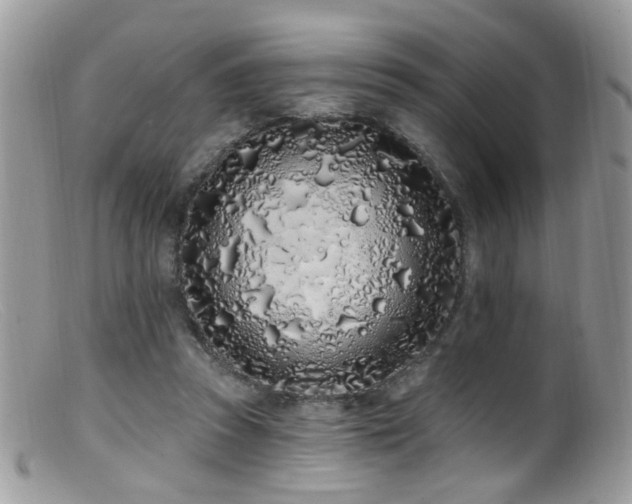 X0000099520353200805151531