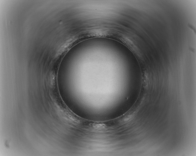 X0000099520355200805151531