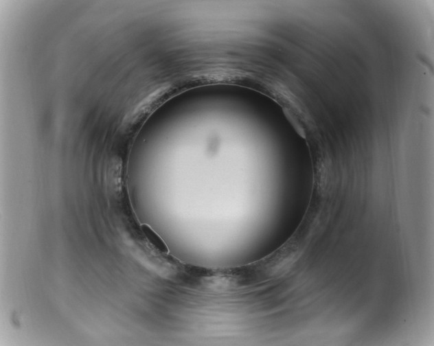 X0000099520356200805151531