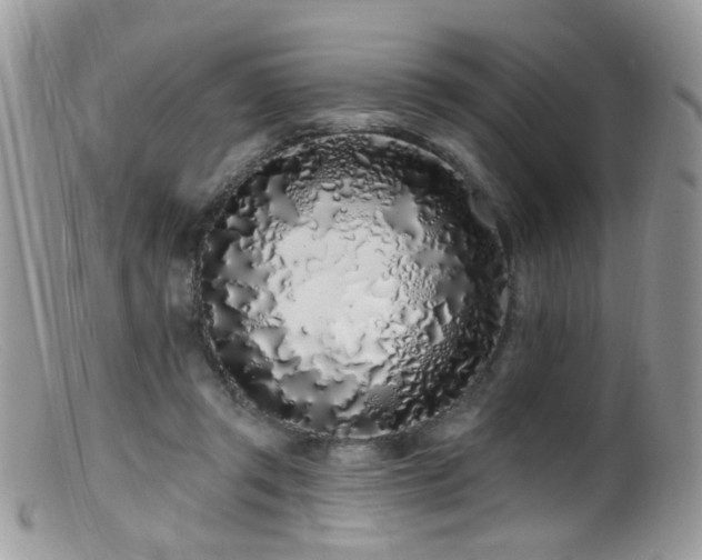 X0000099520357200805151531