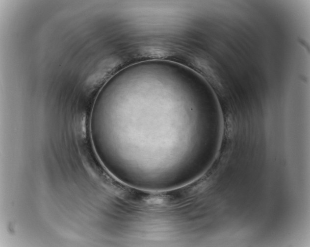 X0000099520358200805151531