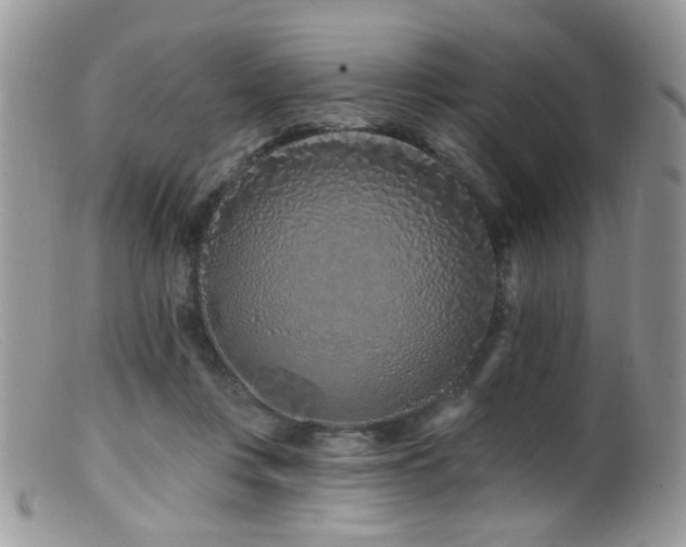 X0000099520359200805151531