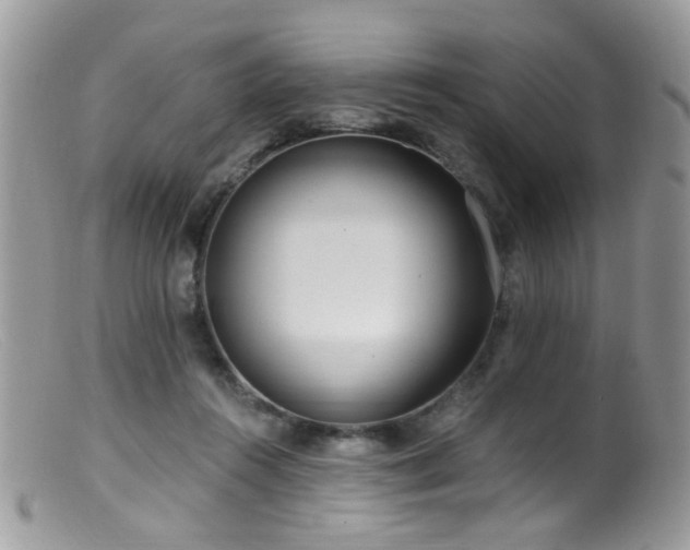 X0000099520360200805151531