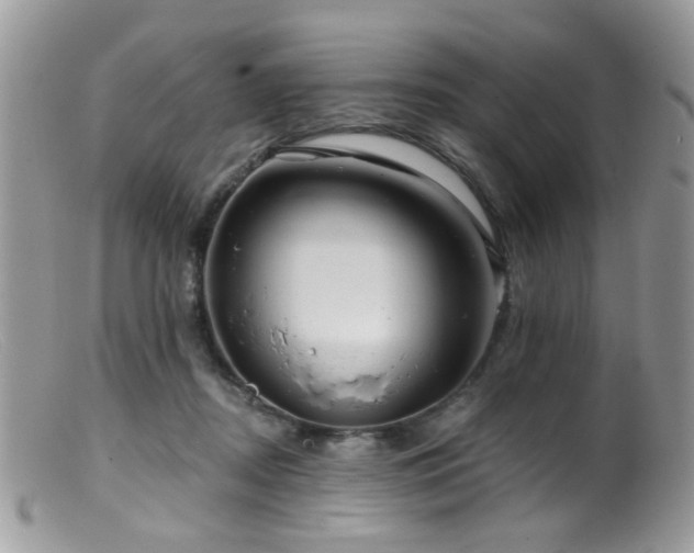 X0000099520362200805151531