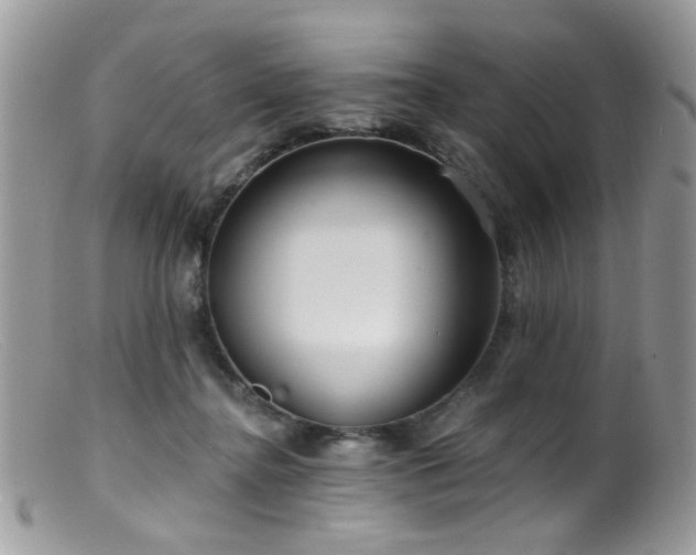 X0000099520364200805151531