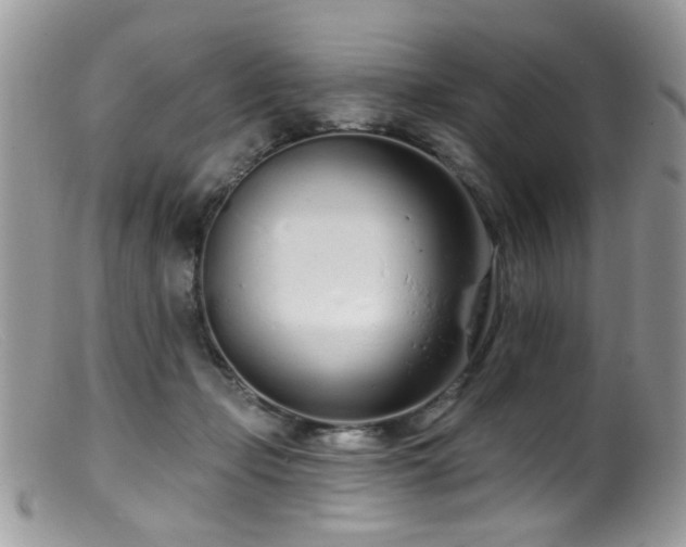 X0000099520365200805151531