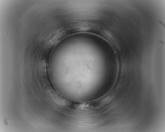 X0000099520366200805151531