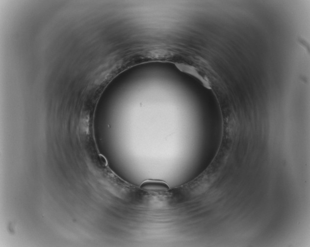 X0000099520368200805151531