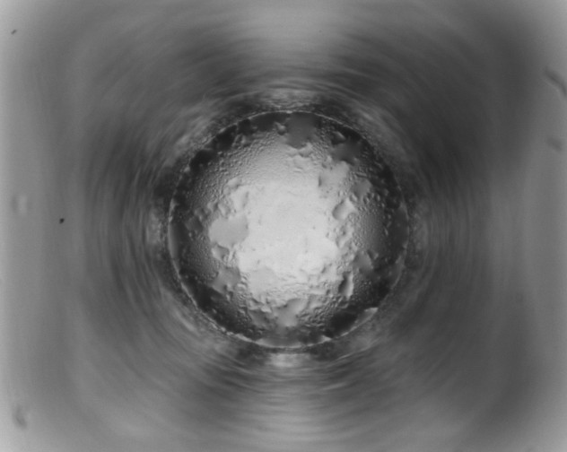 X0000099520371200805151531
