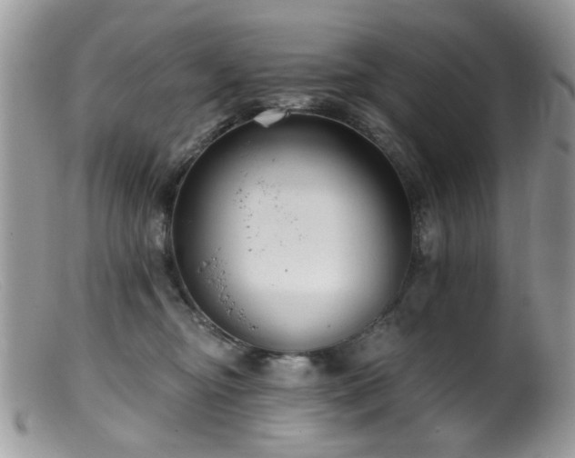 X0000099520374200805151531