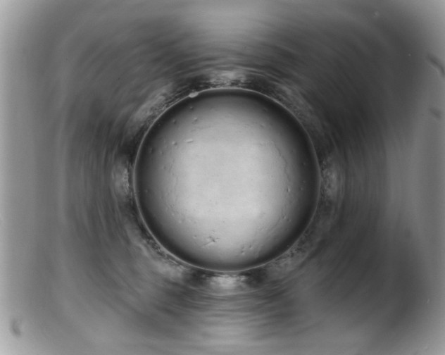 X0000099520375200805151531