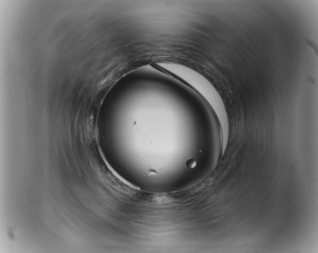 X0000099520376200805151531