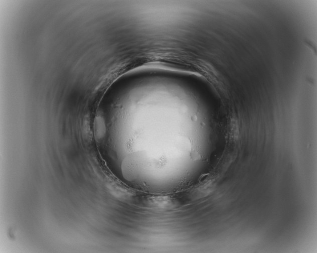X0000099520377200805151531