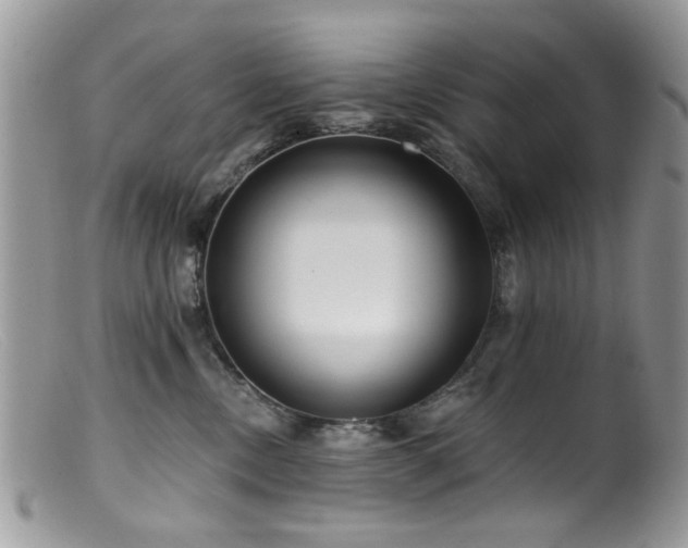 X0000099520378200805151531
