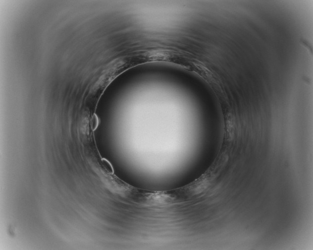 X0000099520379200805151531