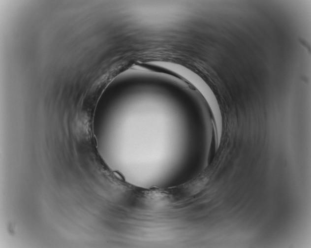 X0000099520380200805151531