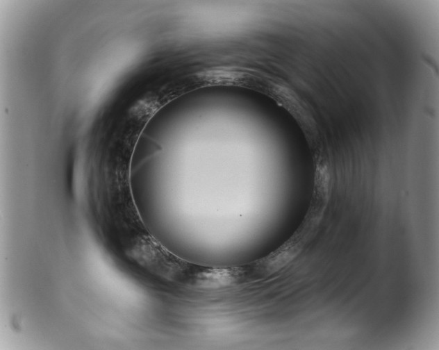 X0000099520381200805151531