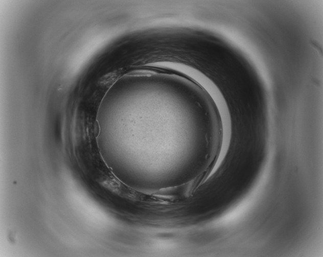 X0000099520382200805151531