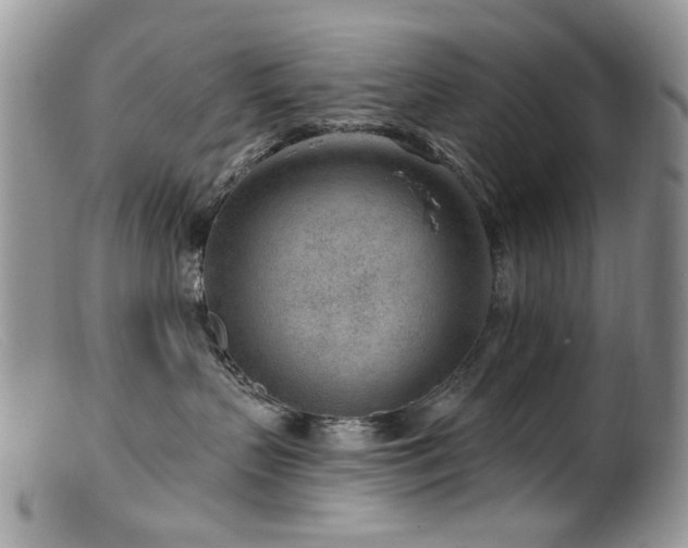 X0000099520383200805151531