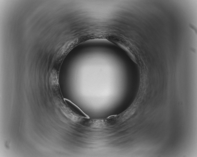 X0000099520384200805151531