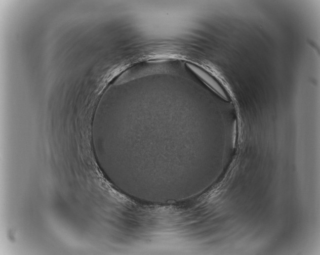 X0000099520385200805151530