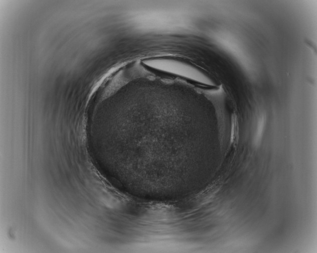 X0000099520387200805151530