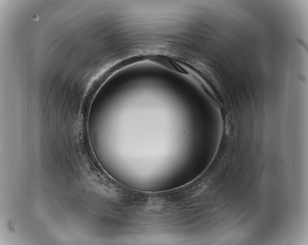 X0000099520388200805151530