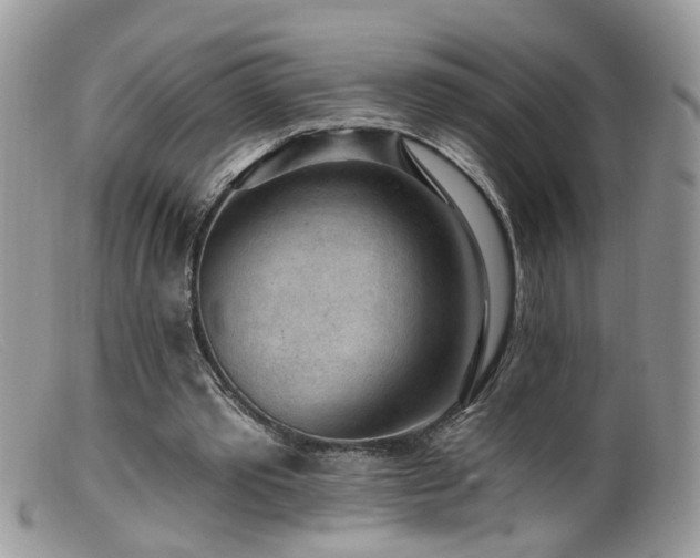 X0000099520389200805151530