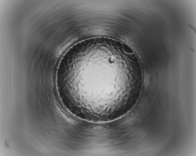 X0000099520390200805151530