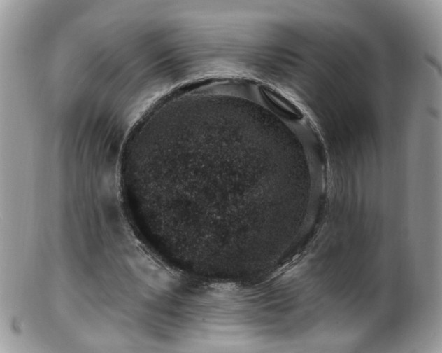 X0000099520391200805151530
