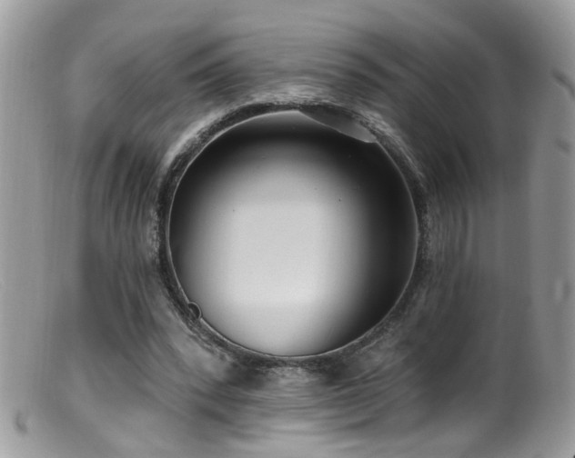 X0000099520392200805151530