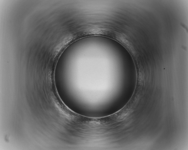 X0000099520394200805151530