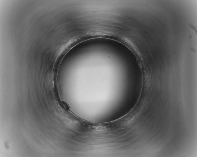 X0000099520395200805151530