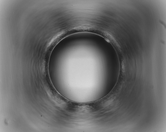 X0000099520396200805151530