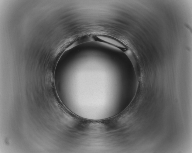 X0000099520397200805151530