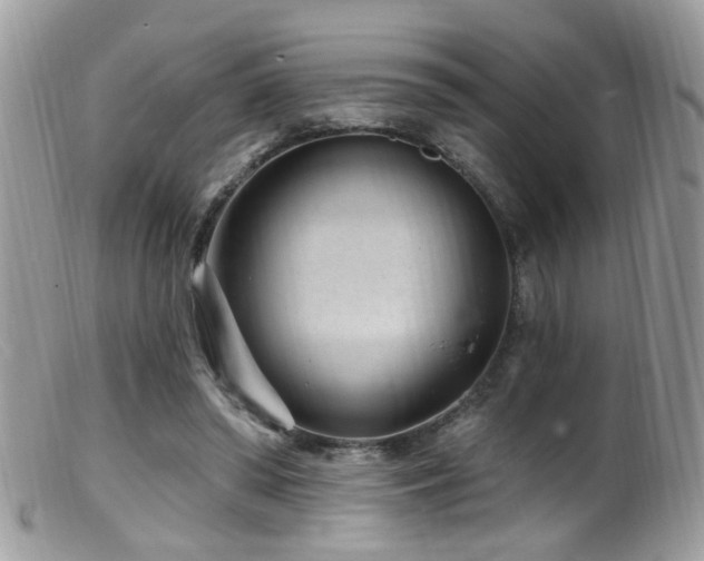 X0000099520398200805151530