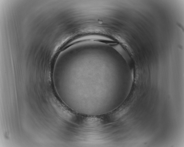 X0000099520399200805151530