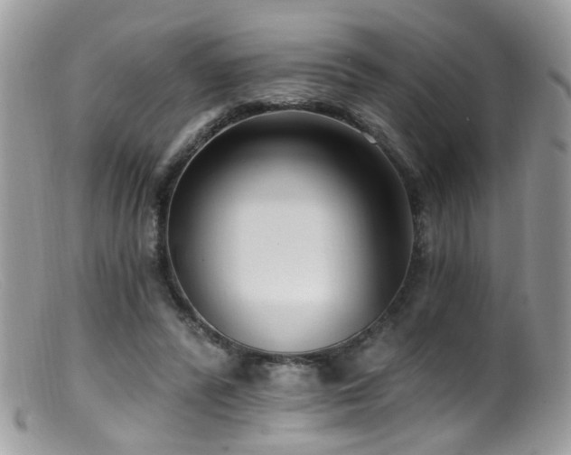 X0000099520400200805151530