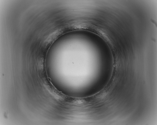 X0000099520402200805151530
