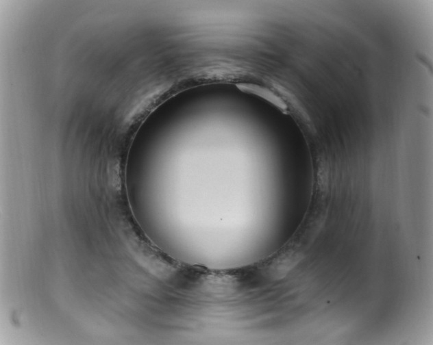 X0000099520403200805151530