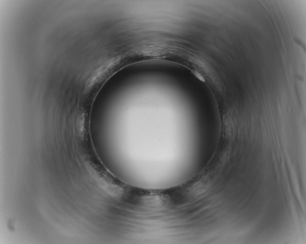 X0000099520404200805151530