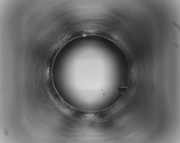 X0000099520406200805151530