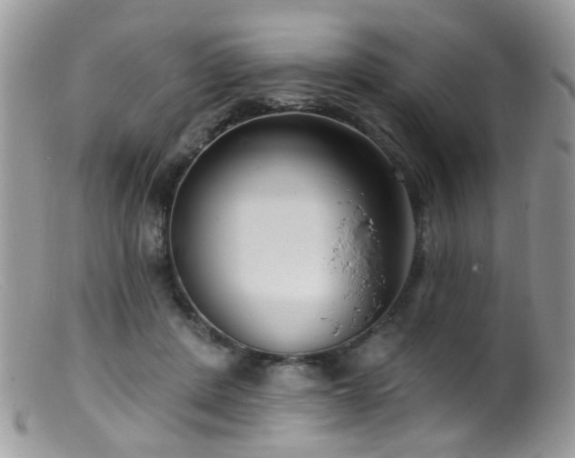 X0000099520408200805151530