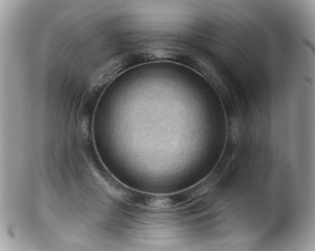 X0000099520410200805151530