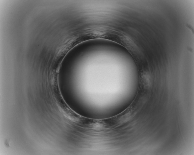 X0000099520412200805151530